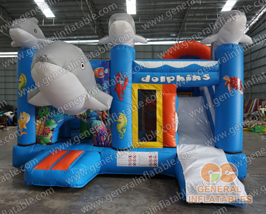 Dolphin inflatable combo