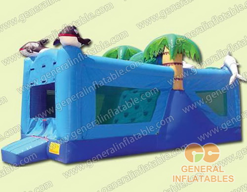 moon bounce