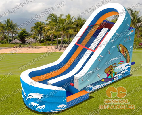 Surf the water slide