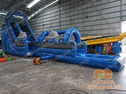 Dophin water slide