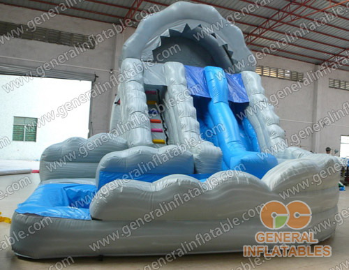 Dual Lane Water Slide